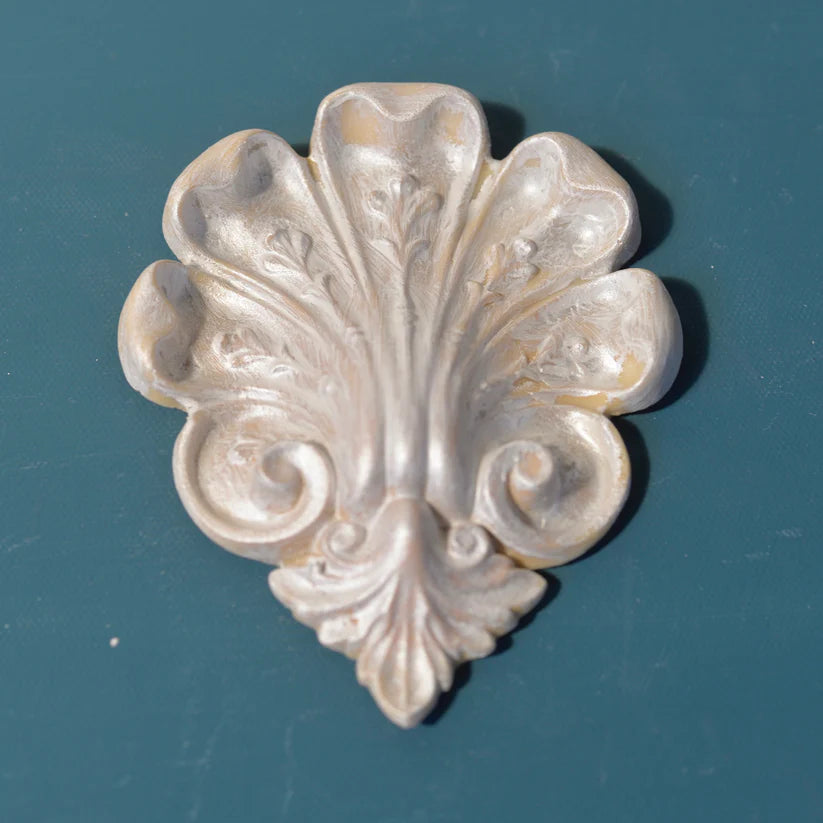 Large Roman Shell, Rosette - R78
