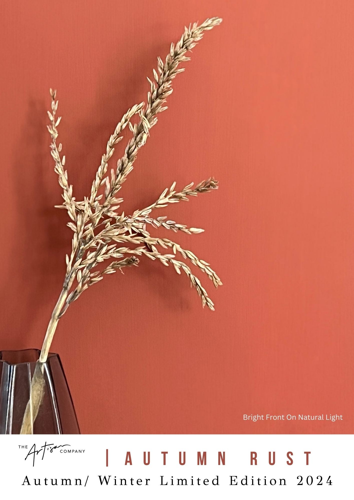 Autumn Rust - Premium Chalk Paint