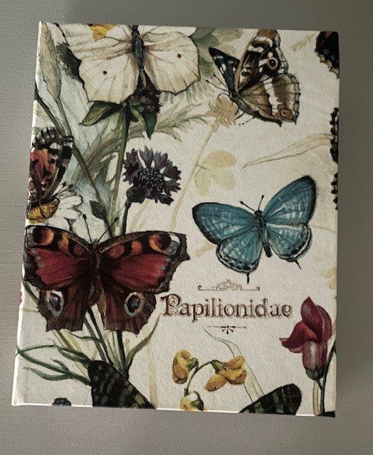 Butterflies - 2