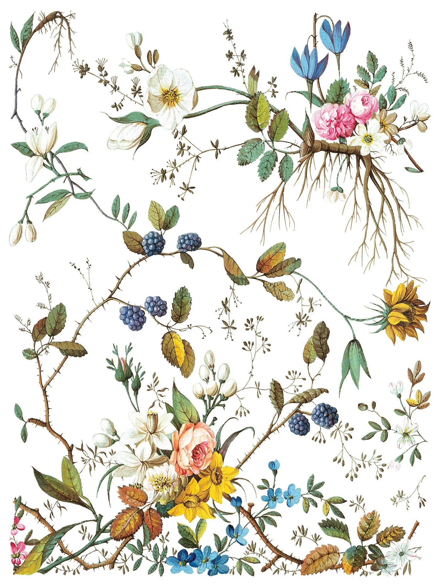 LOST GARDEN IOD TRANSFER PAD - EIGHT 12x16" SHEETS