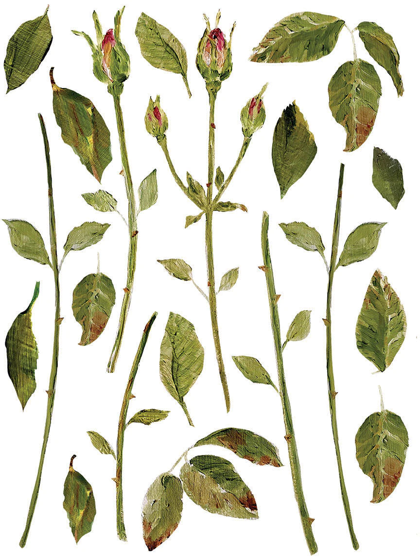 PAINTERLY FLORALS IOD TRANSFER PAD - EIGHT 12X16" SHEETS