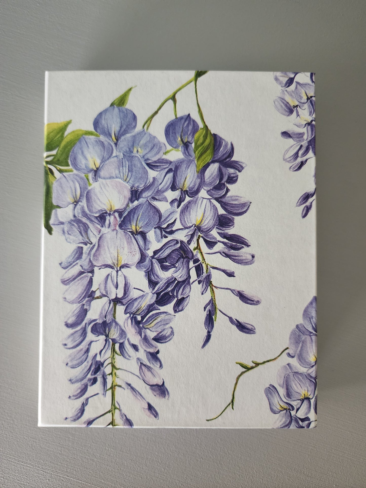 Wisteria