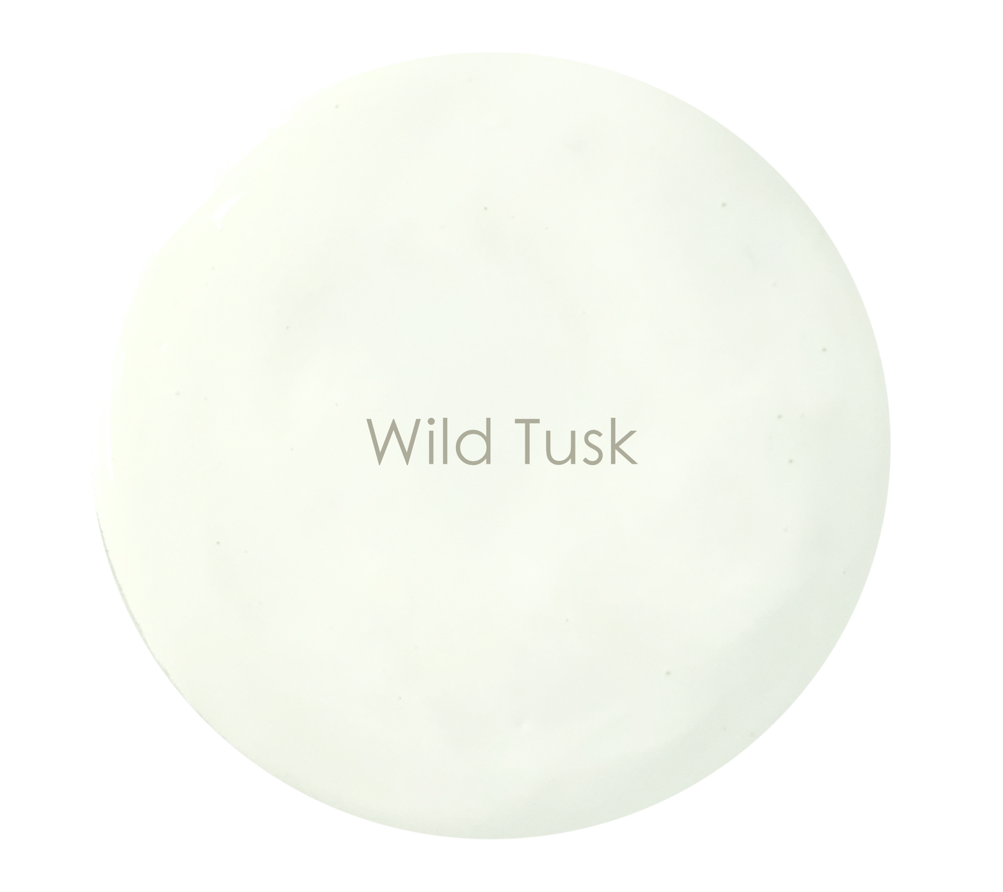Wild Tusk - Velvet Luxe