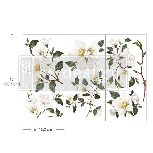 Small - WHITE MAGNOLIA. 3 sheets, 6" x 12"