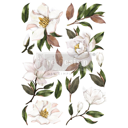 Large - MAGNOLIA GRANDIFLORA. 24" x 35" cut into 2 sheets
