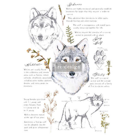 Large - GRAY WOLF. 24" x 35" cut into 3 sheets