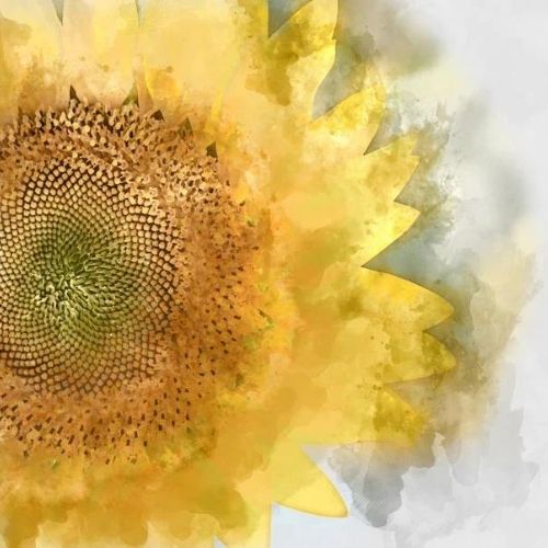 Mint by Michelle - SUNFLOWER, A1 - 594mm x 841mm / 23.4" x 33.1"