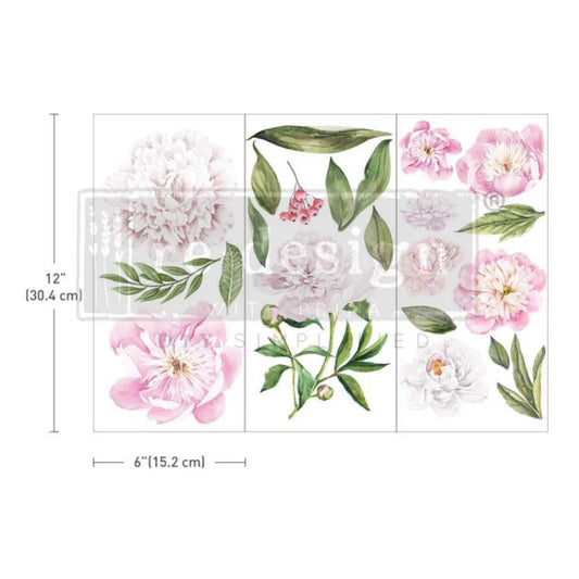 Small - MORNING PEONIES. 3 sheets, 6" x 12"