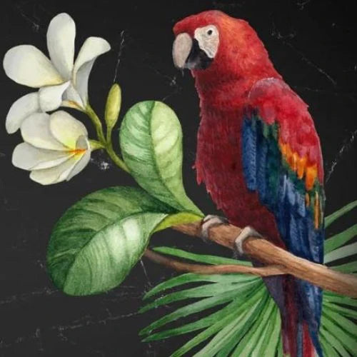 Mint by Michelle - PARROT, A1 - 594mm x 841mm / 23.4" x 33.1"