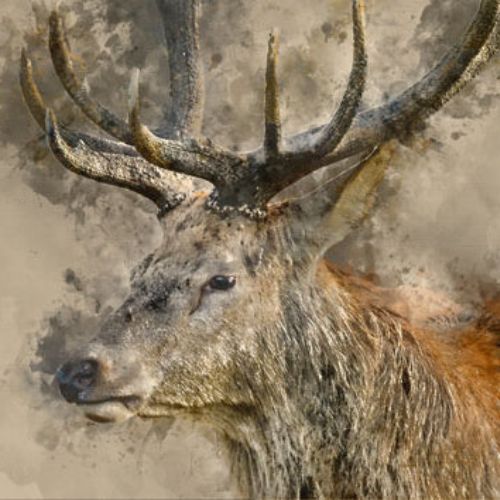 Mint by Michelle - YES, DEER, A1 - 594mm x 841mm / 23.4" x 33.1"