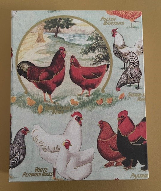 Chooks