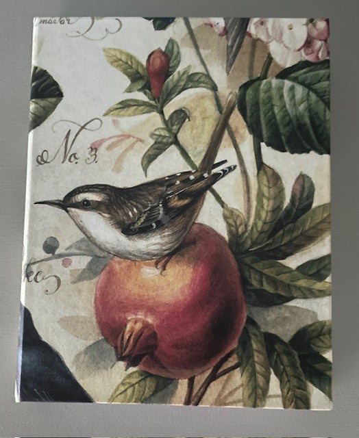 Birds Notebook - 3