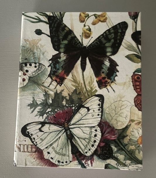 Butterflies - 1