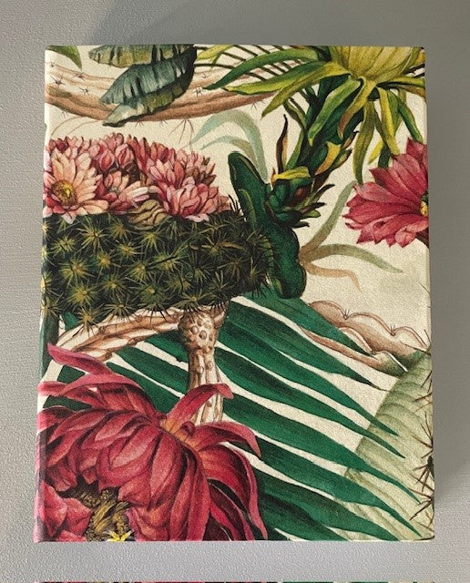 Cactus - 1