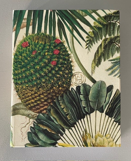 Cactus - 2