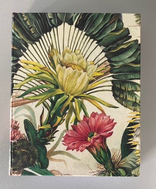 Cactus - 3