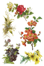 Load image into Gallery viewer, CATHARINA IOD TRANSFER PAD - EIGHT 8x12" SHEETS
