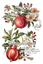 Load image into Gallery viewer, CLEMENTINE IOD TRANSFER PAD - EIGHT 8x12" SHEETS
