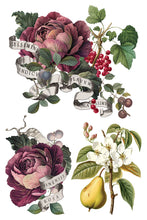 Load image into Gallery viewer, CLEMENTINE IOD TRANSFER PAD - EIGHT 8x12" SHEETS
