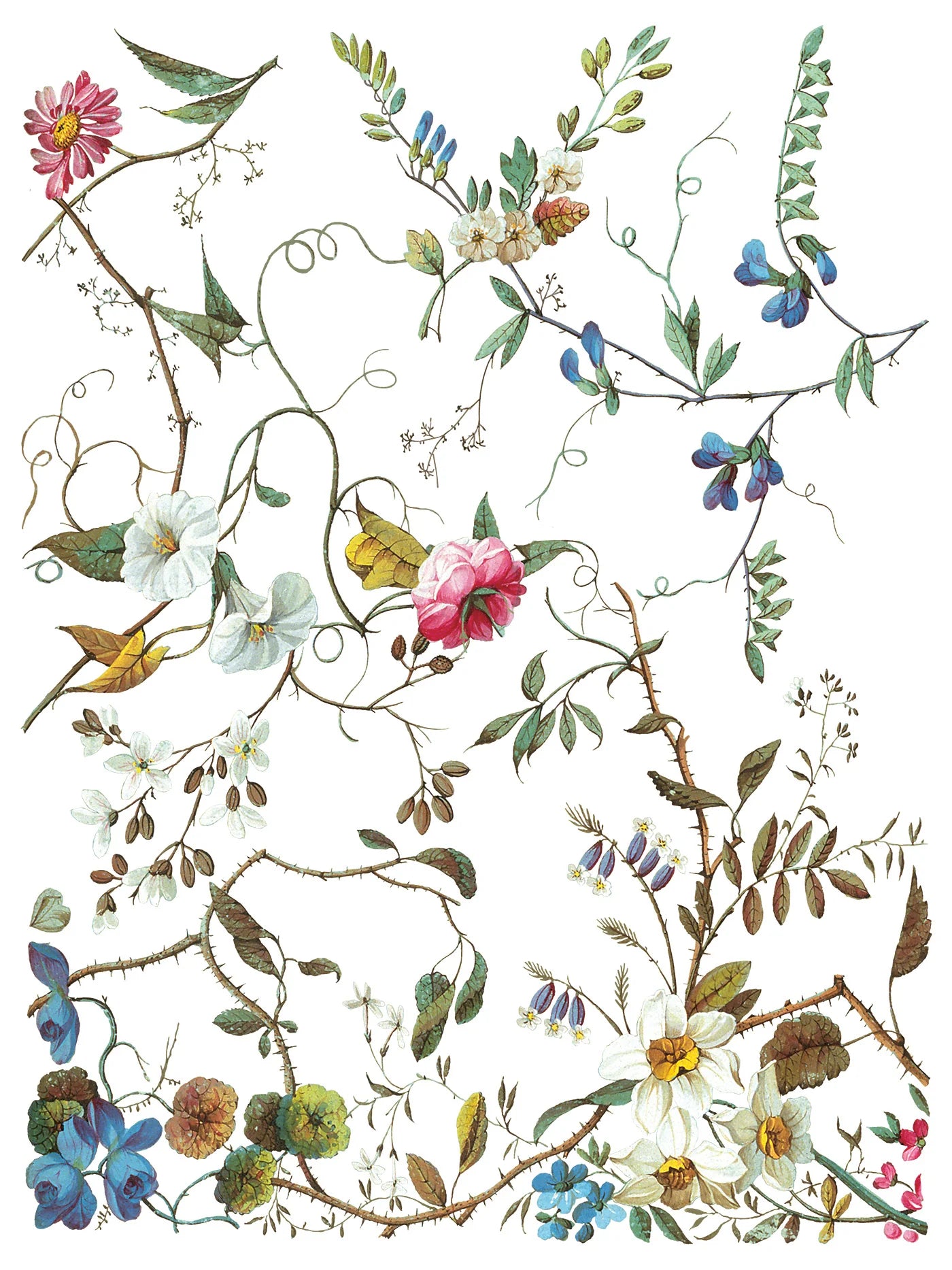 LOST GARDEN IOD TRANSFER PAD - EIGHT 12x16" SHEETS