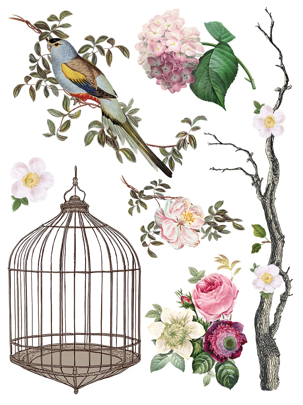 MENAGERIE IOD TRANSFER PAD -  EIGHT 12x16 SHEETS