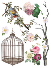 Load image into Gallery viewer, MENAGERIE IOD TRANSFER PAD -  EIGHT 12x16 SHEETS
