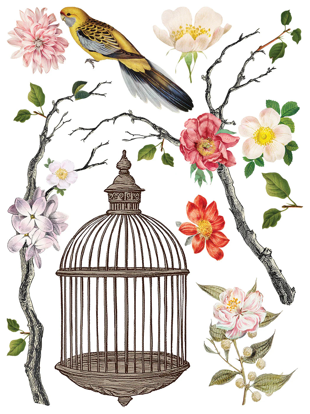 MENAGERIE IOD TRANSFER PAD -  EIGHT 12x16 SHEETS