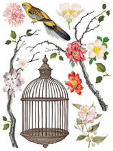 Load image into Gallery viewer, MENAGERIE IOD TRANSFER PAD -  EIGHT 12x16 SHEETS
