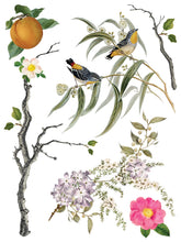 Load image into Gallery viewer, MENAGERIE IOD TRANSFER PAD -  EIGHT 12x16 SHEETS
