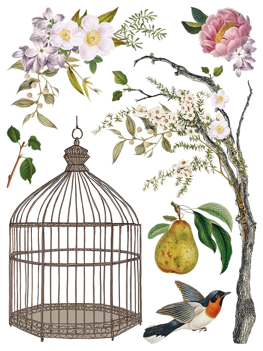 MENAGERIE IOD TRANSFER PAD -  EIGHT 12x16 SHEETS