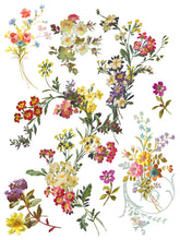 Load image into Gallery viewer, SAINT GERMAIN IOD TRANSFER PAD - EIGHT 12x16 SHEETS
