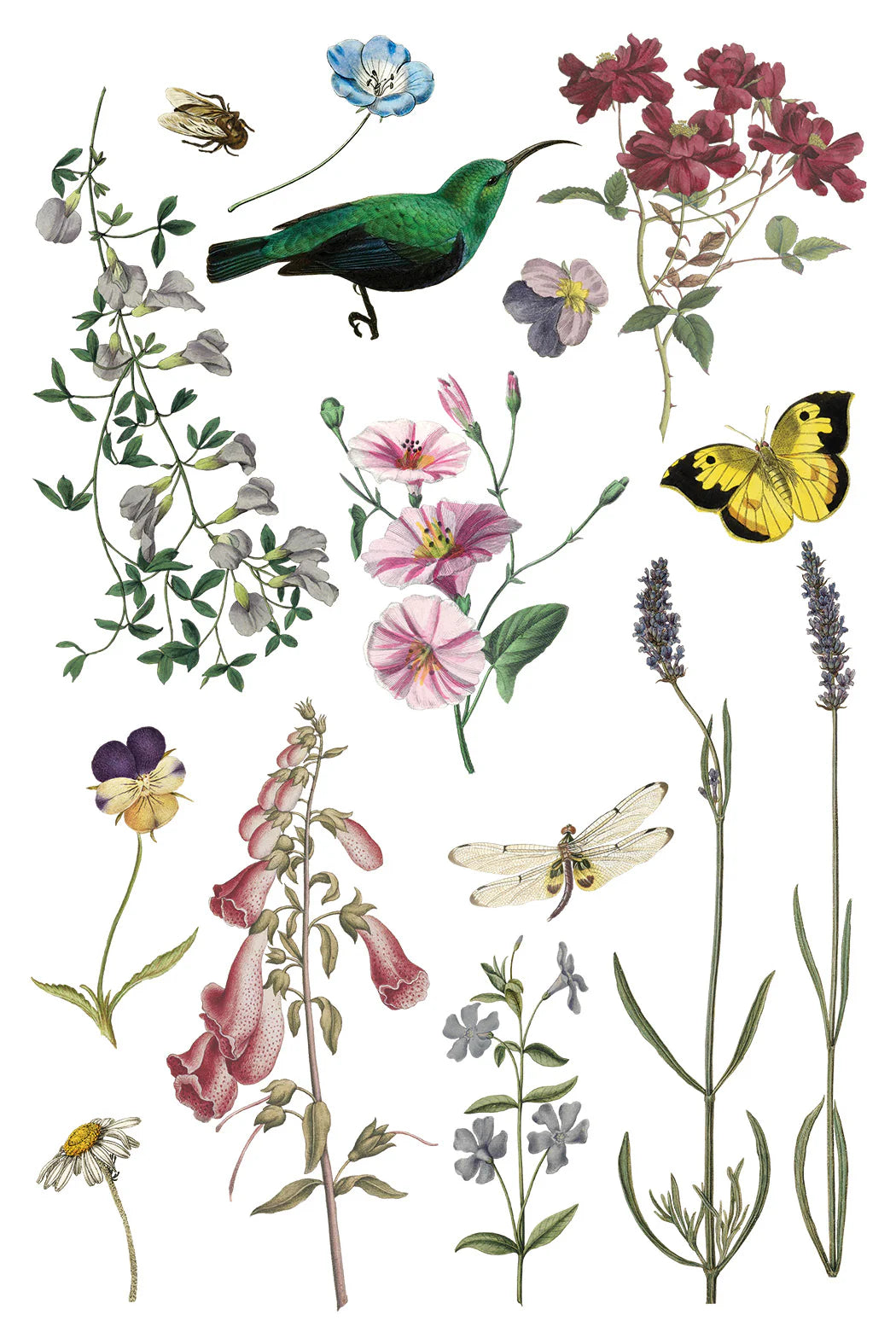 WILDE BLOEMEN IOD TRANSFER PAD - EIGHT 8x12" SHEETS