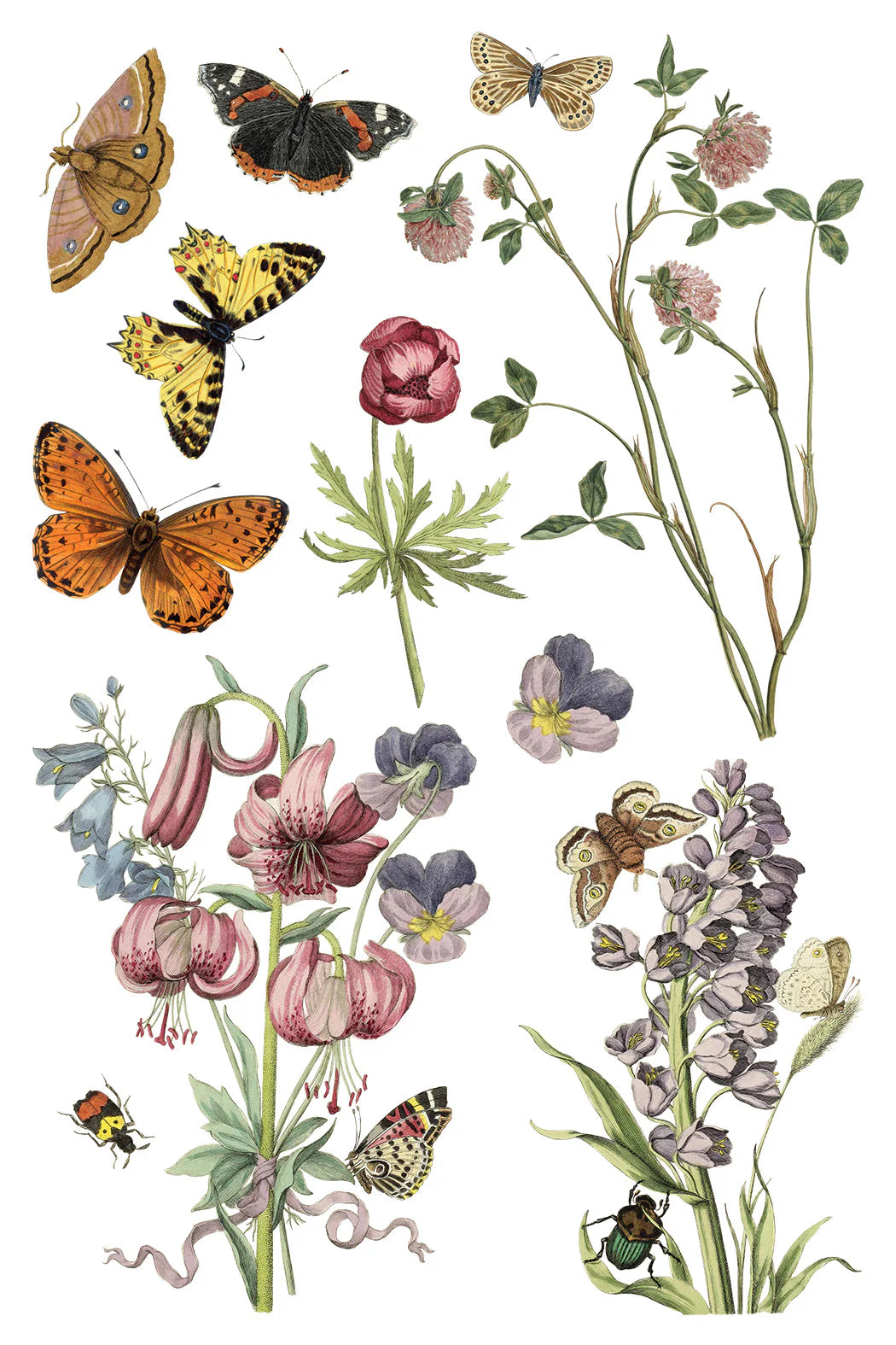 WILDE BLOEMEN IOD TRANSFER PAD - EIGHT 8x12" SHEETS