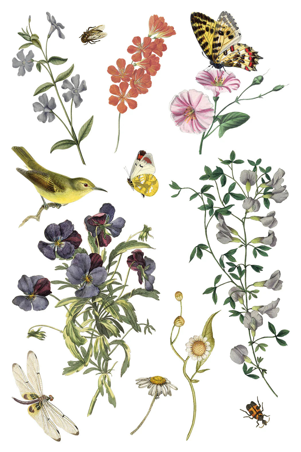 WILDE BLOEMEN IOD TRANSFER PAD - EIGHT 8x12" SHEETS