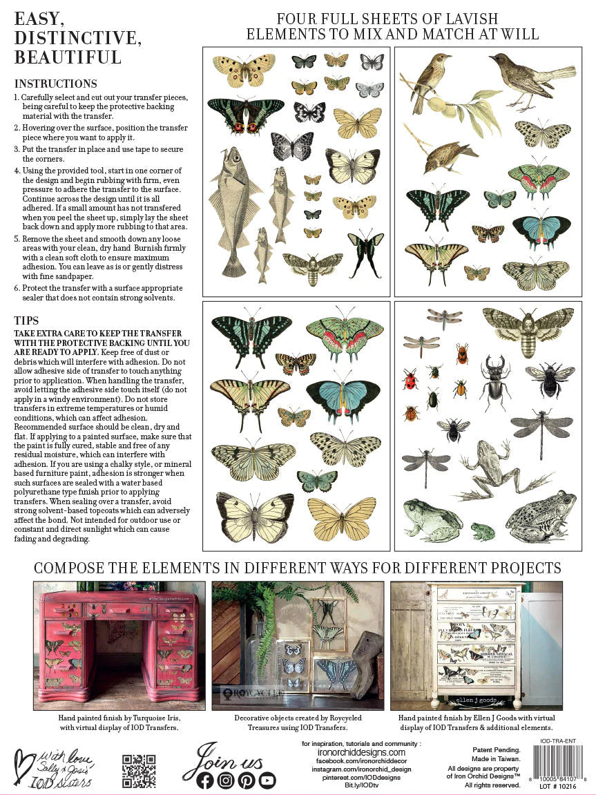 ENTOMOLOGY ETCETERA IOD TRANSFER PAD - FOUR 12X16" SHEETS