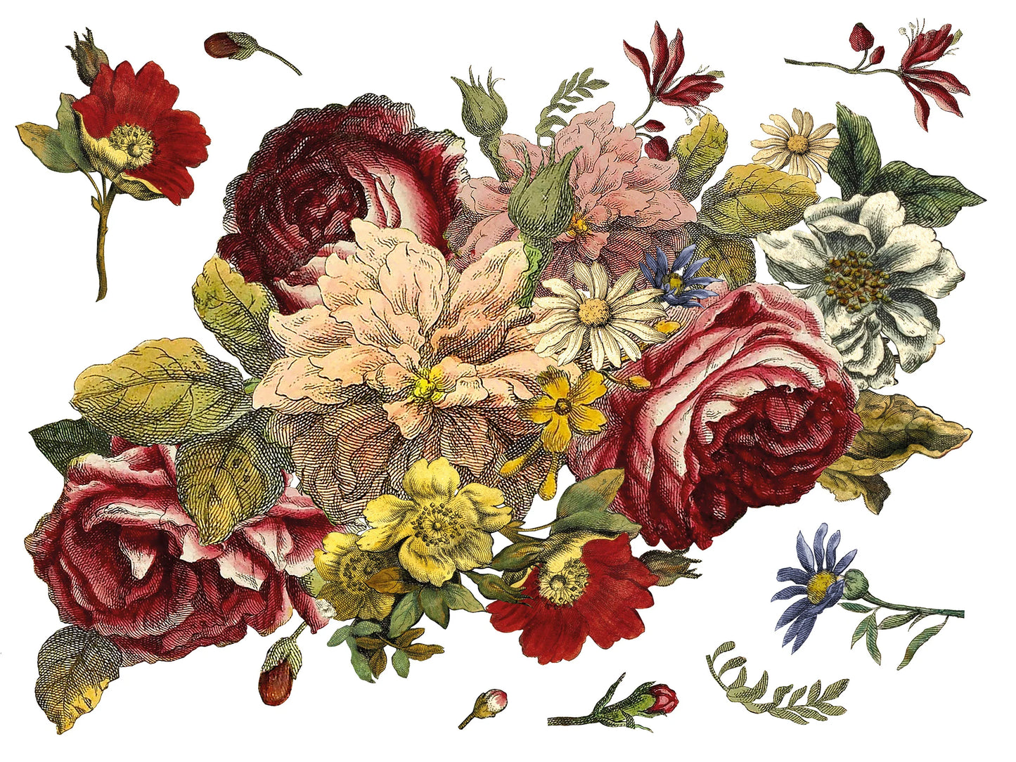 FLORAL ANTHOLOGY IOD TRANSFER PAD - FOUR 12X16" SHEETS