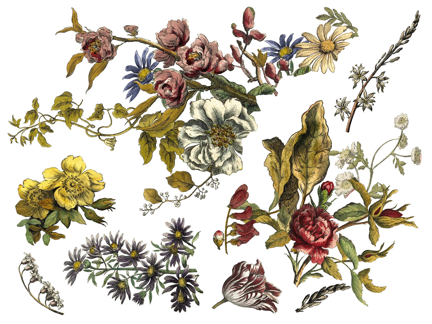 FLORAL ANTHOLOGY IOD TRANSFER PAD - FOUR 12X16" SHEETS