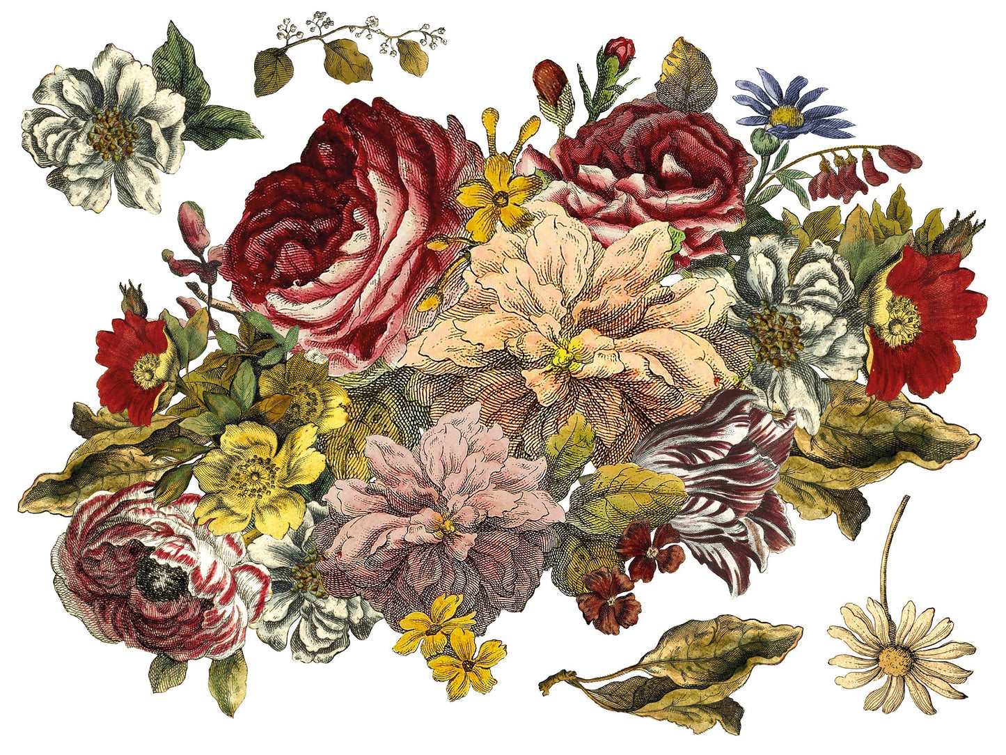 FLORAL ANTHOLOGY IOD TRANSFER PAD - FOUR 12X16" SHEETS