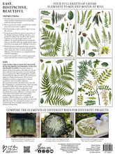 Load image into Gallery viewer, FRONDS BOTANICAL IOD TRANSFER PAD - FOUR 12X16&quot; SHEETS
