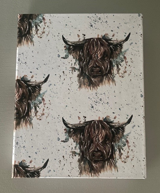 Highland Cow