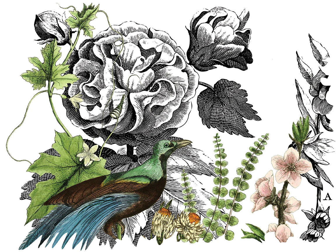 MIDNIGHT GARDEN IOD TRANSFER PAD - FOUR 12X16" SHEETS