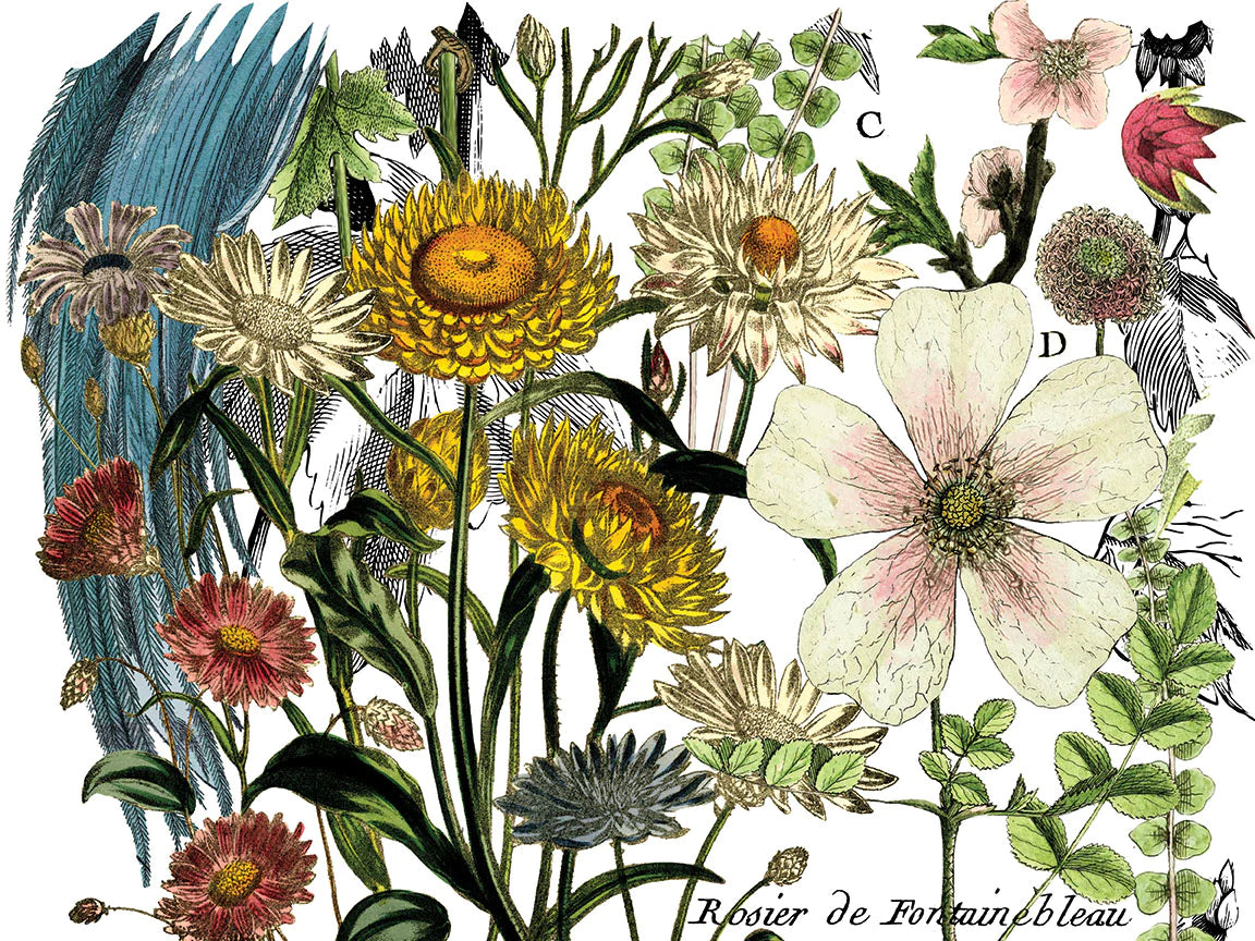 MIDNIGHT GARDEN IOD TRANSFER PAD - FOUR 12X16" SHEETS