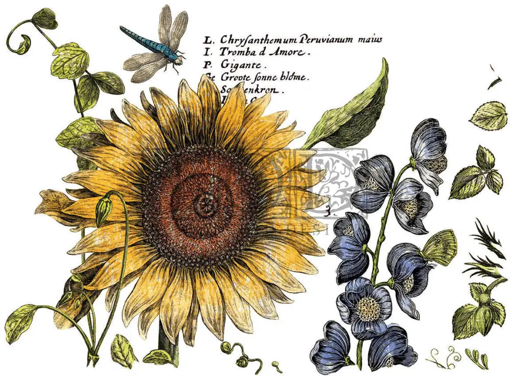 BOTANIST'S JOURNAL IOD TRANSFER PAD - FOUR 12X16" SHEETS