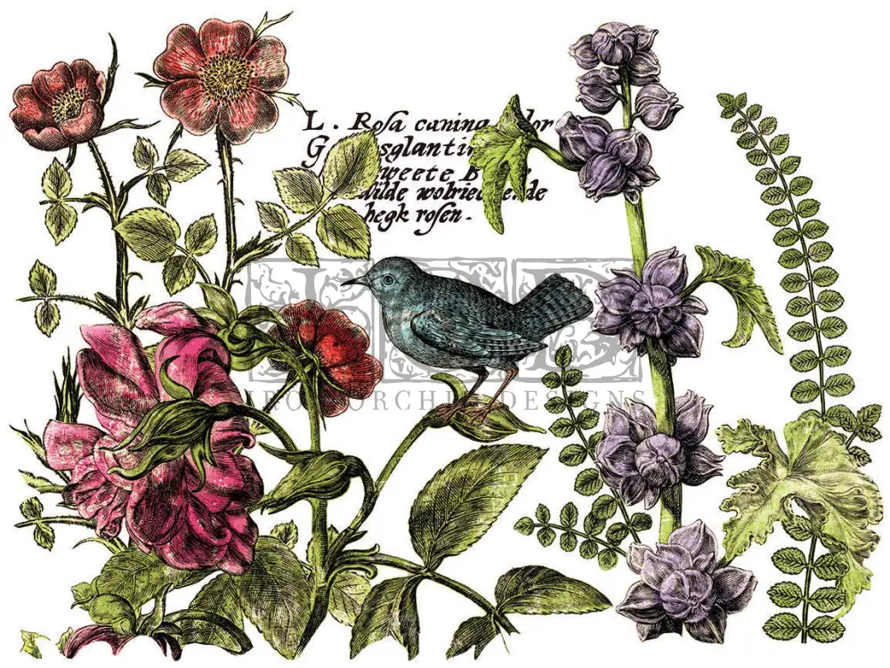 BOTANIST'S JOURNAL IOD TRANSFER PAD - FOUR 12X16" SHEETS