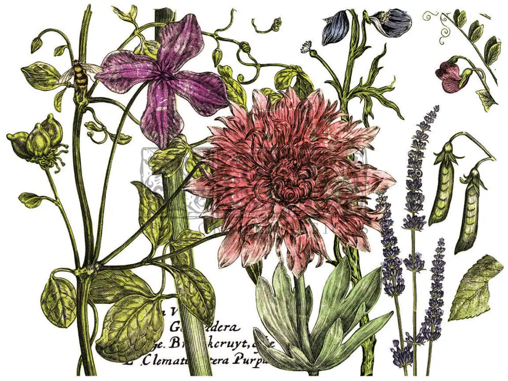 BOTANIST'S JOURNAL IOD TRANSFER PAD - FOUR 12X16" SHEETS