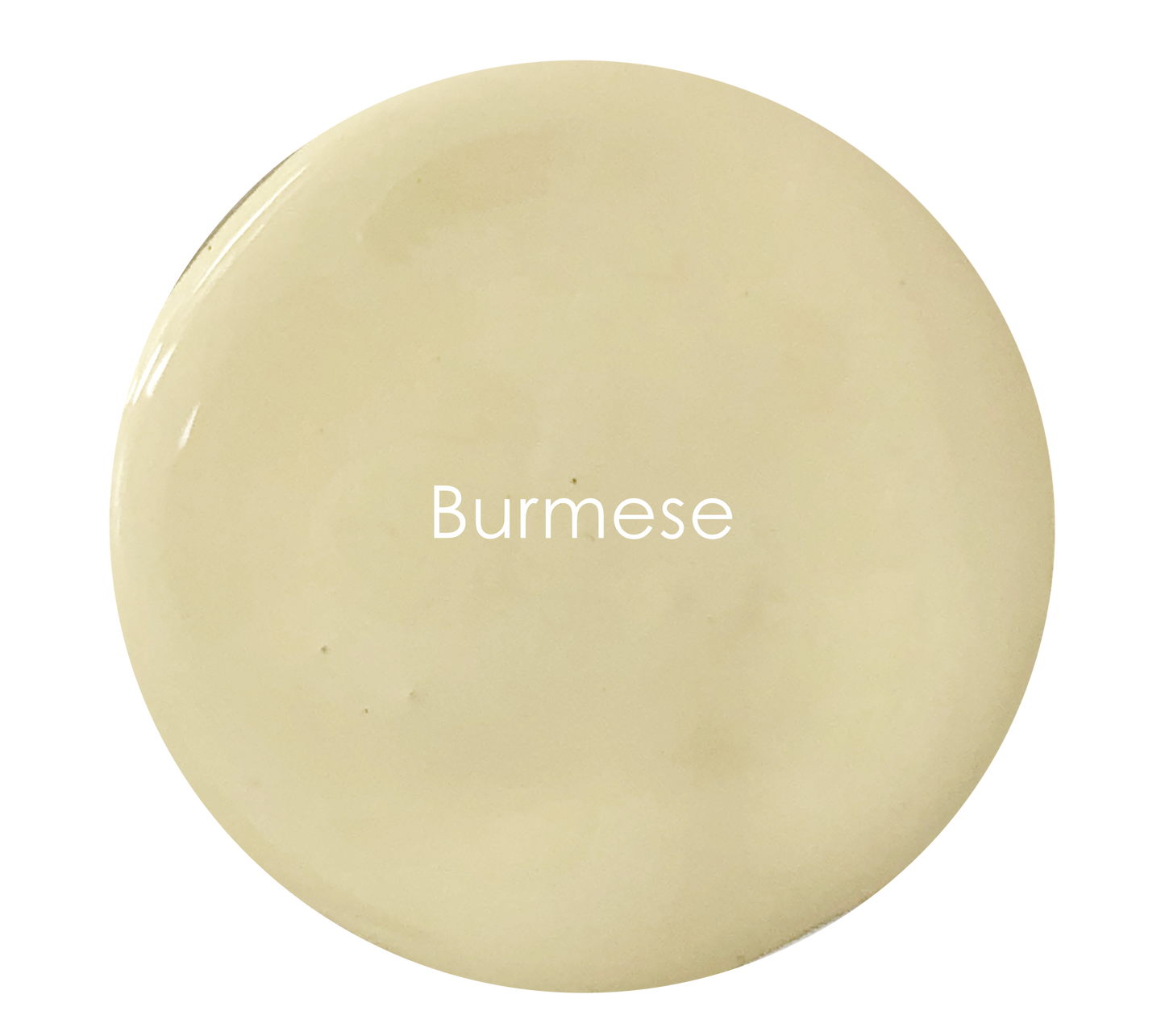 Burmese - Velvet Luxe