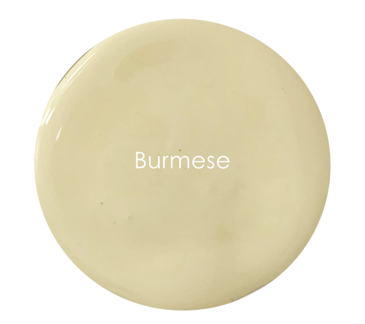 Burmese - Velvet Luxe
